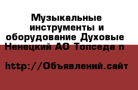 Музыкальные инструменты и оборудование Духовые. Ненецкий АО,Топседа п.